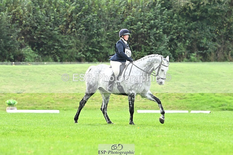 241024-115153-02506 - 510-Kathryn.Virjee-BROWNSTOWNS.SEAWATCH