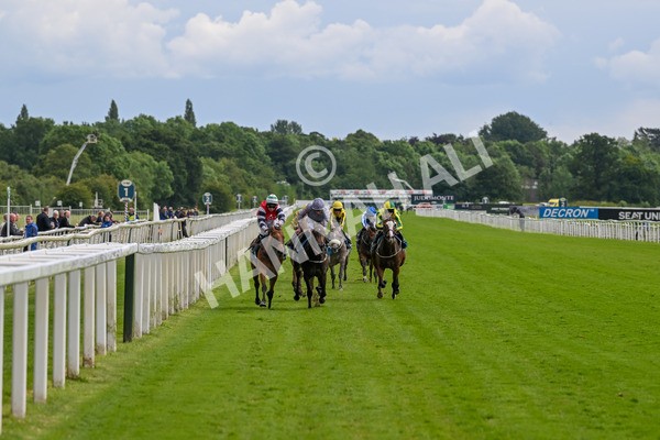 140624-Race 4-Havana Gila-4432 - Race 4 3.35pm Seat Unique Ganton Stakes