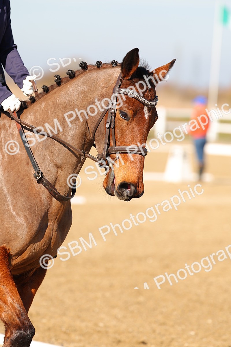 SBM_002509 - Class 2 - P1-70cm