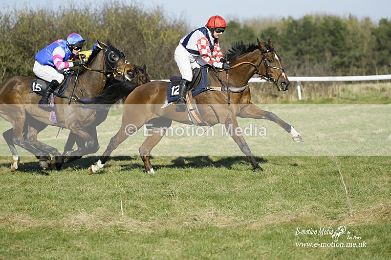 PtP 270222 231 - South & West Wilts Point-to-Point Larkhill 27/02/22