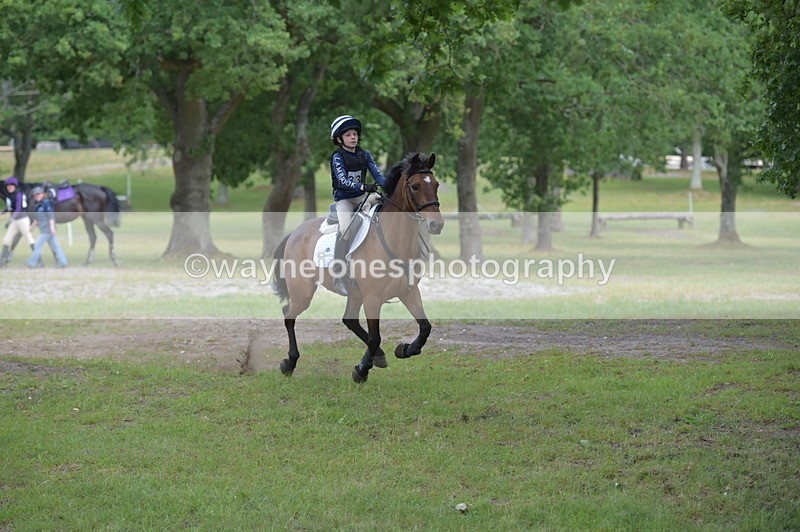 NGP_7687 - Time 11:28 to 11:38