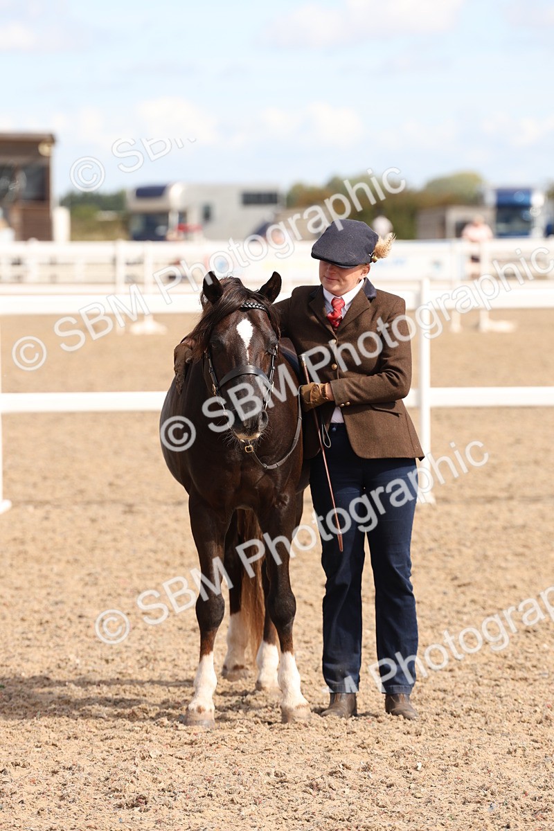 SBM_14130 - Class 207 - IH M&M