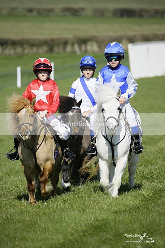 PtP 190322 53 - Wilton Hunt PtP Milborne St Andrew 19/03/22