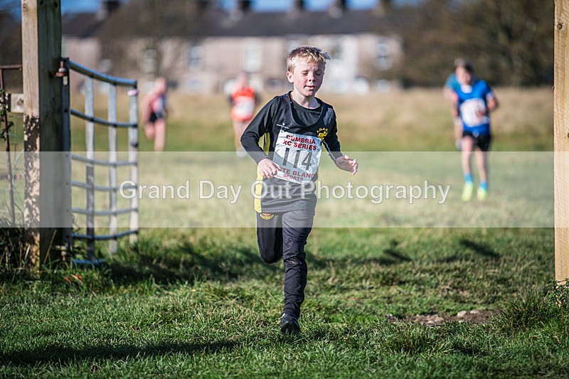Cumbria XC-136 - Cumbria XC League Workington Saturday 26th October 2024