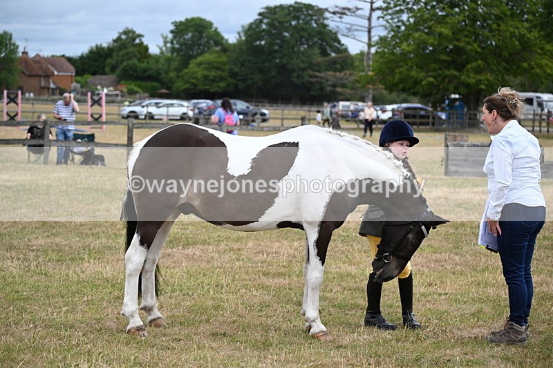 WJ6_4306 - Class 10 Coloured In-hand