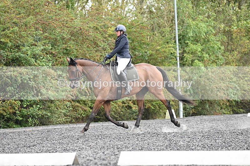 WJ7_6166 - Time 14:10 to 14:45