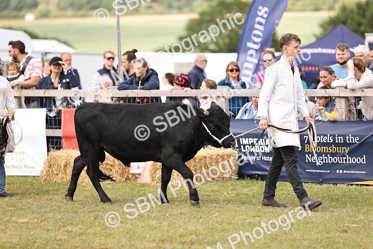 SBM_16900 - Grand Parade