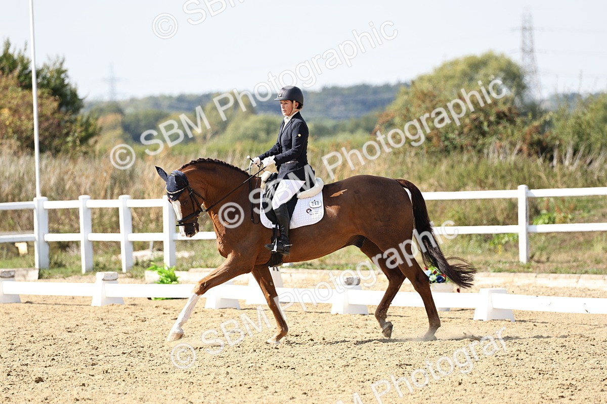 SBM_014923 - Class 7 - Medium 3