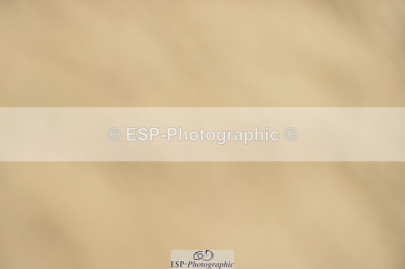 250622-120910-14503 - Quest Cls 31-35 Novice Tests