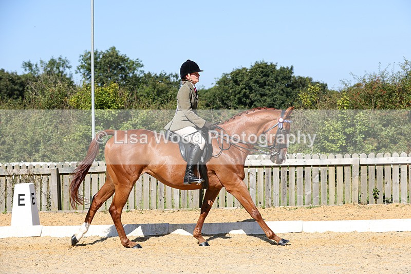 1X9A7886 - Class 10:Riding Horse