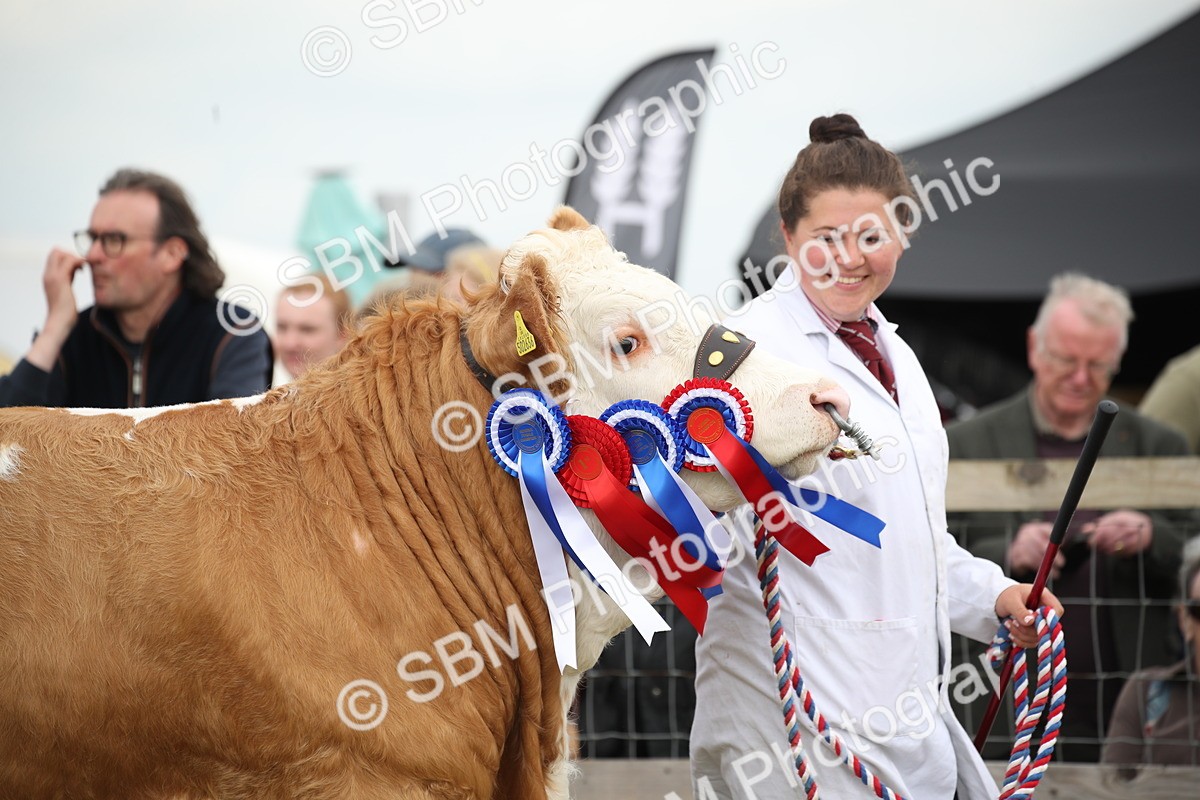 SBM_07865 - Grand Parade