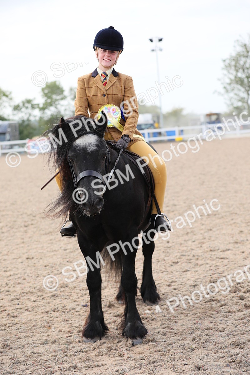 SBM_17044 - Class 314 Family Horse/Pony