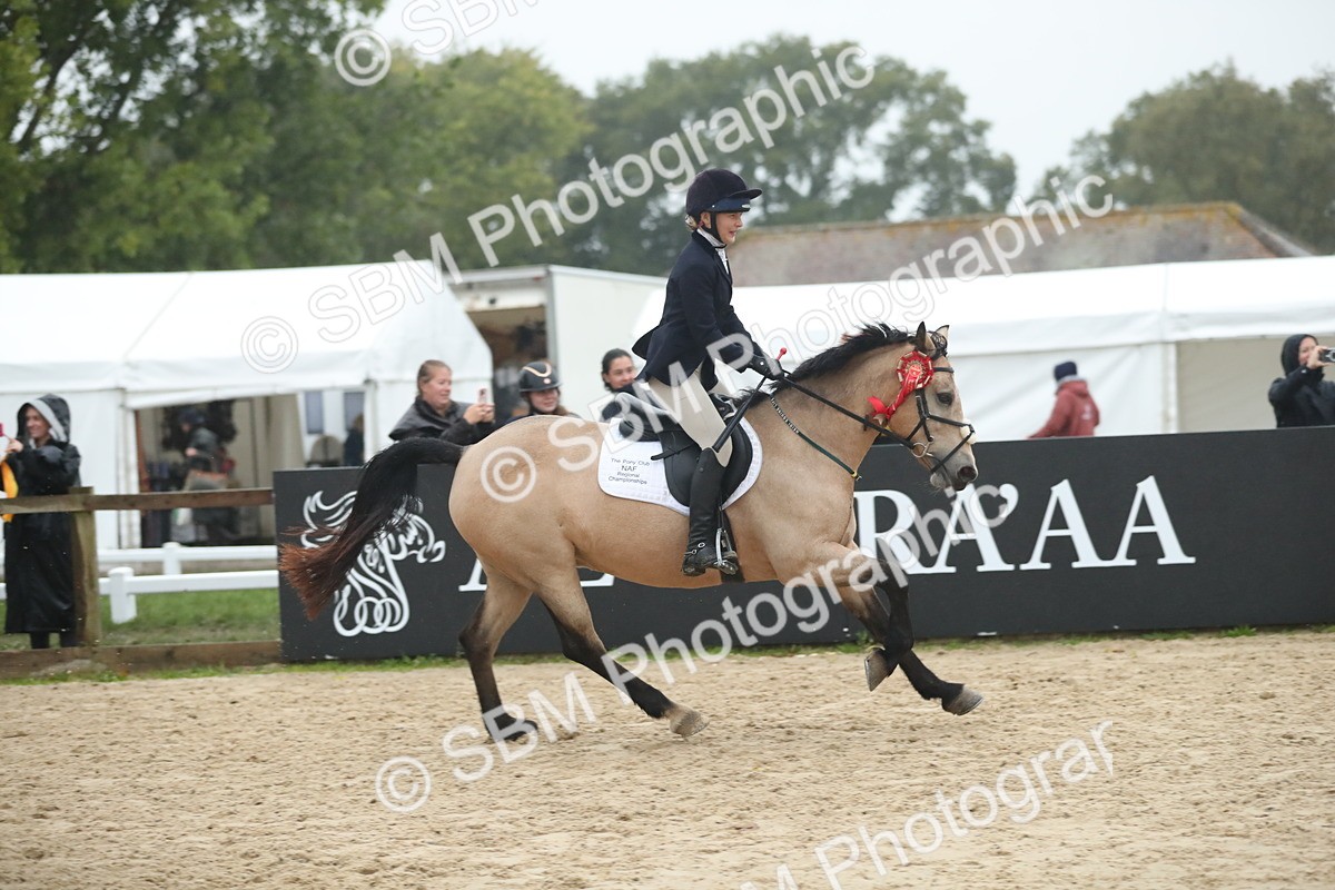 SBM_74360 - Supreme championship Junior Pony 70cm 75cm
