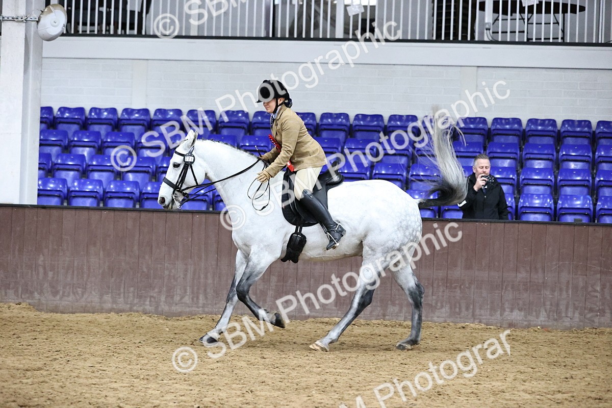 SBM_6406 - Class 45-42 - Ridden Irish Breeds-Ridden Cob