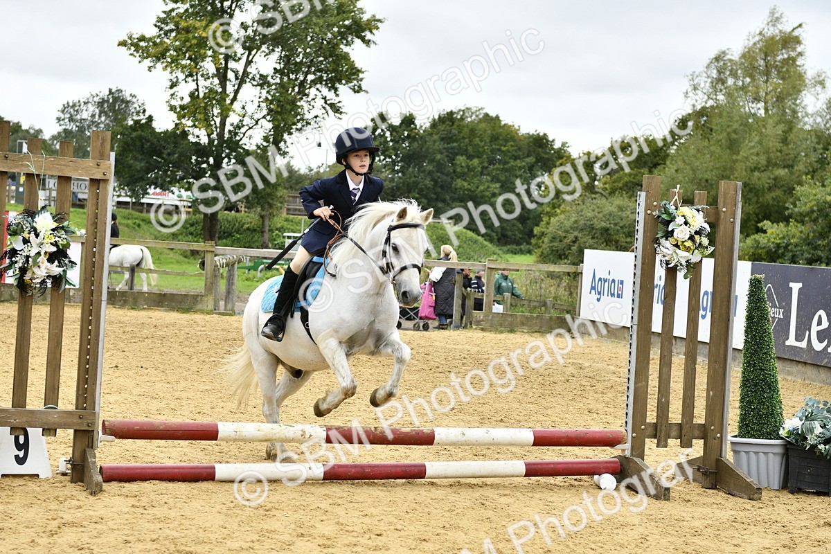 SBM_68038 - J2b - Mini Tour Junior Pony 30cm championship