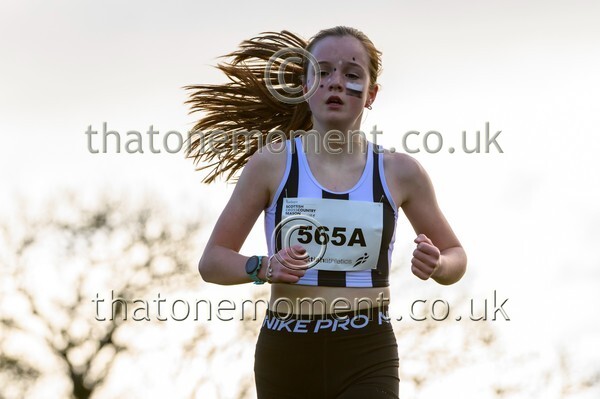 NatRel25-924909 - Young Female Set One