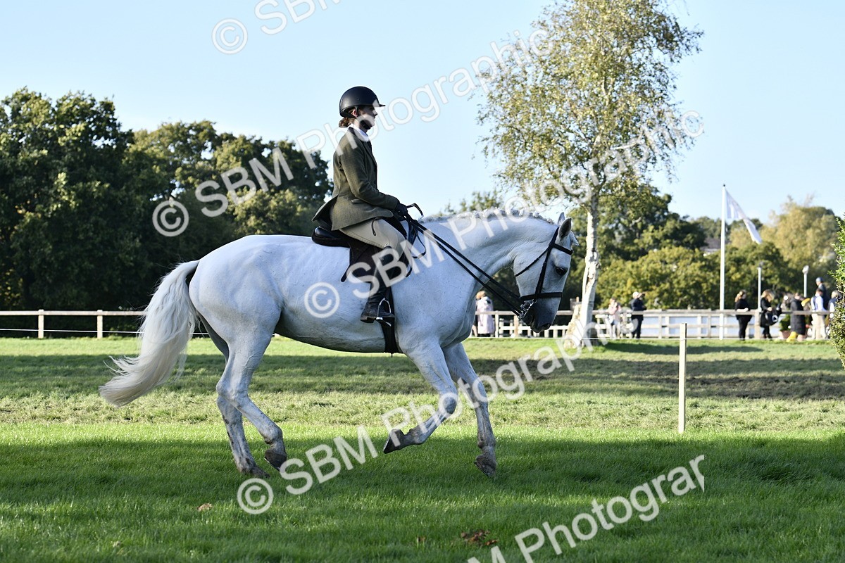 SBM_53504 - S14 - Riding Club Horse
