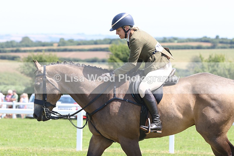 JPP_3142 - Class 22: Working Hunter 70cm