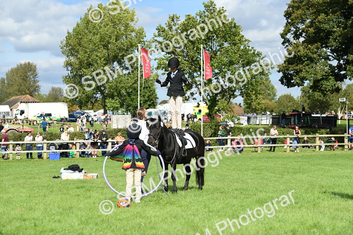 SBM_46964 - S12 - Family Horse & Pony