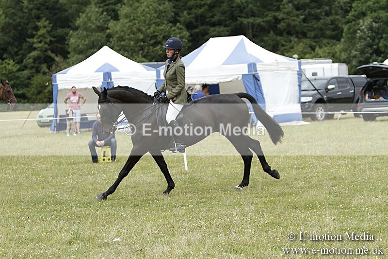 BVR160717-2235 - Ring 3 BVRC Show 16/07/17