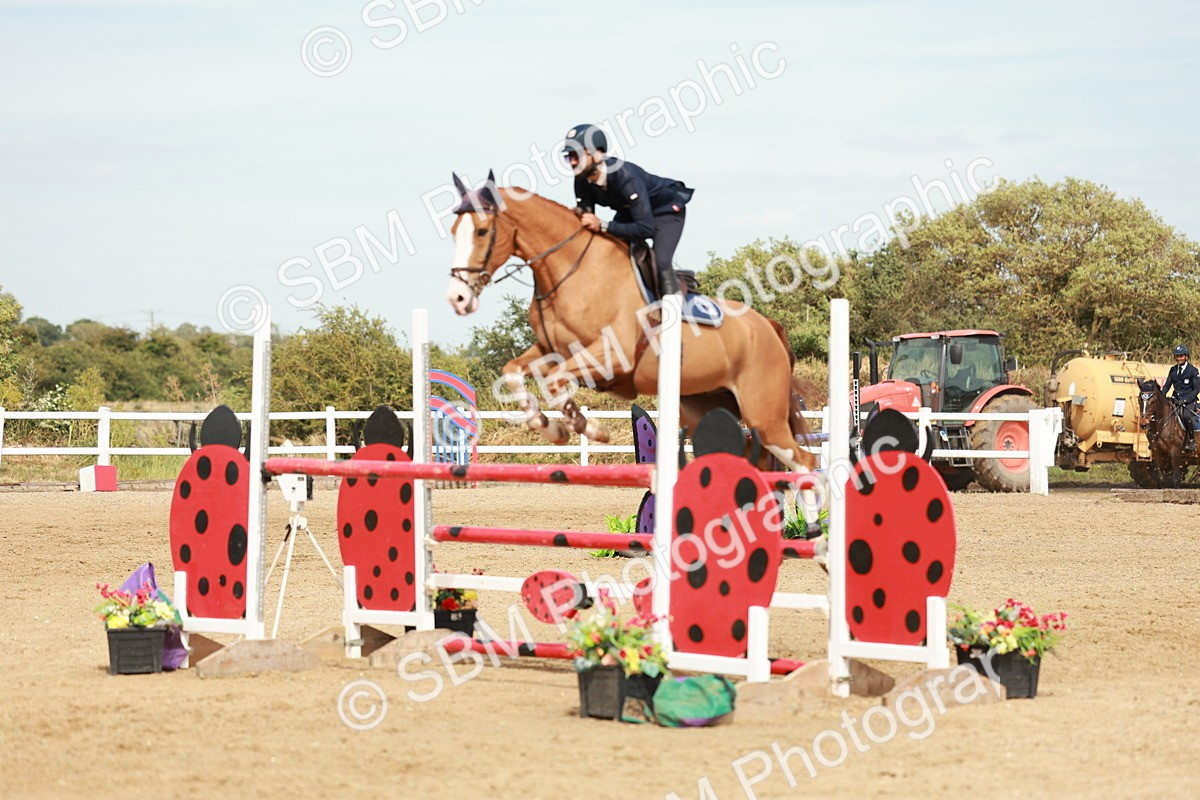 SBM_008178 - Class 4 - Senior Foxhunter - 1.20m Open