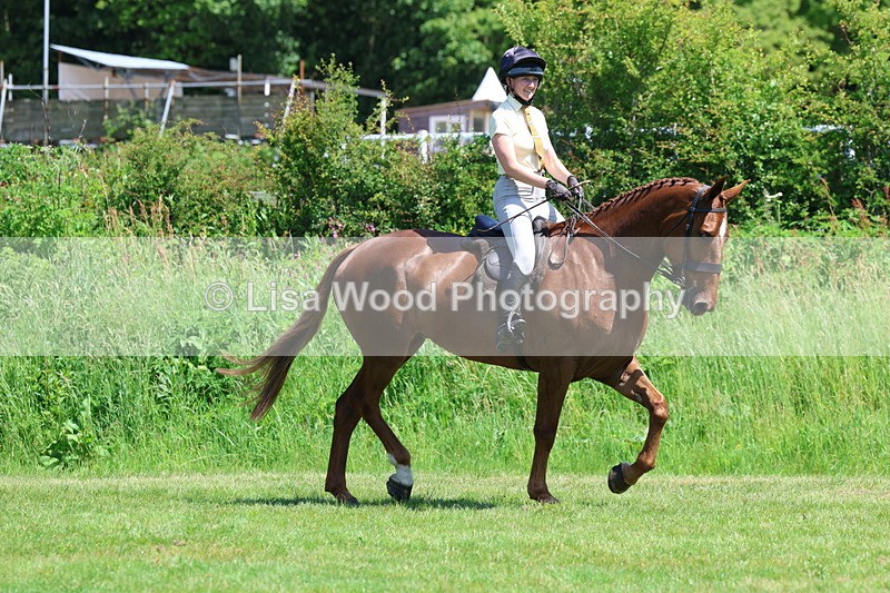 3E7A8041 - Working Hunter Championship