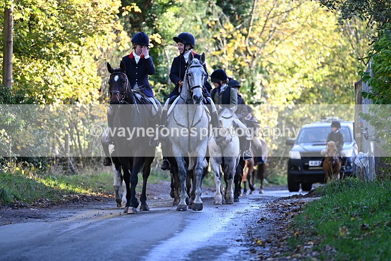 WJ7_8685 - Walk Home