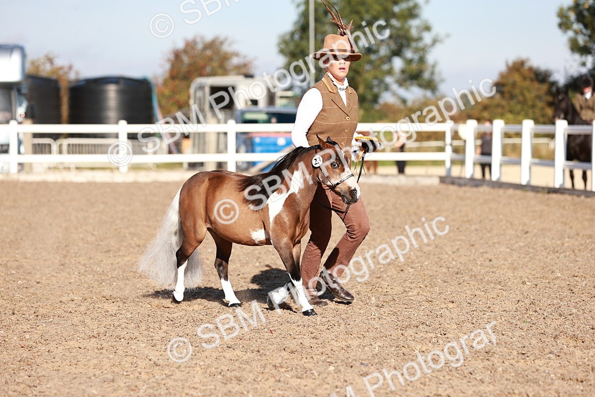 SBM_11480 - Class 402 - IH  Veteran pony
