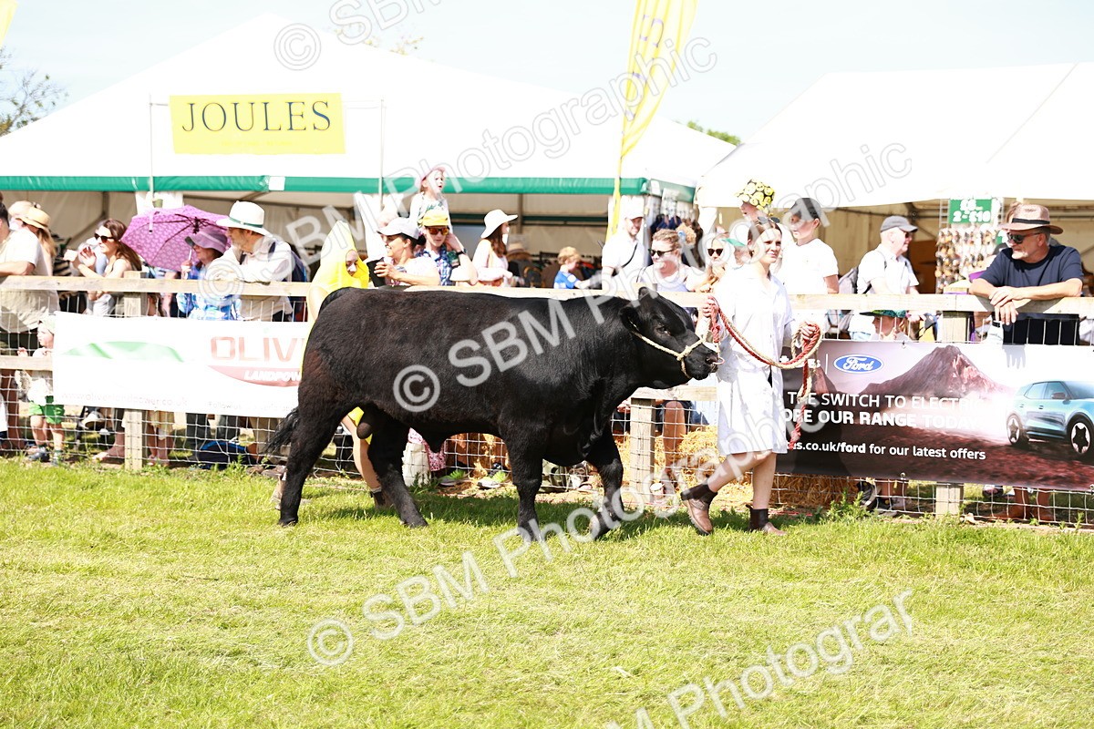 SBM_08352 - Grand Parade