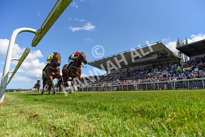 080624-Race 3-Shareholder-0499