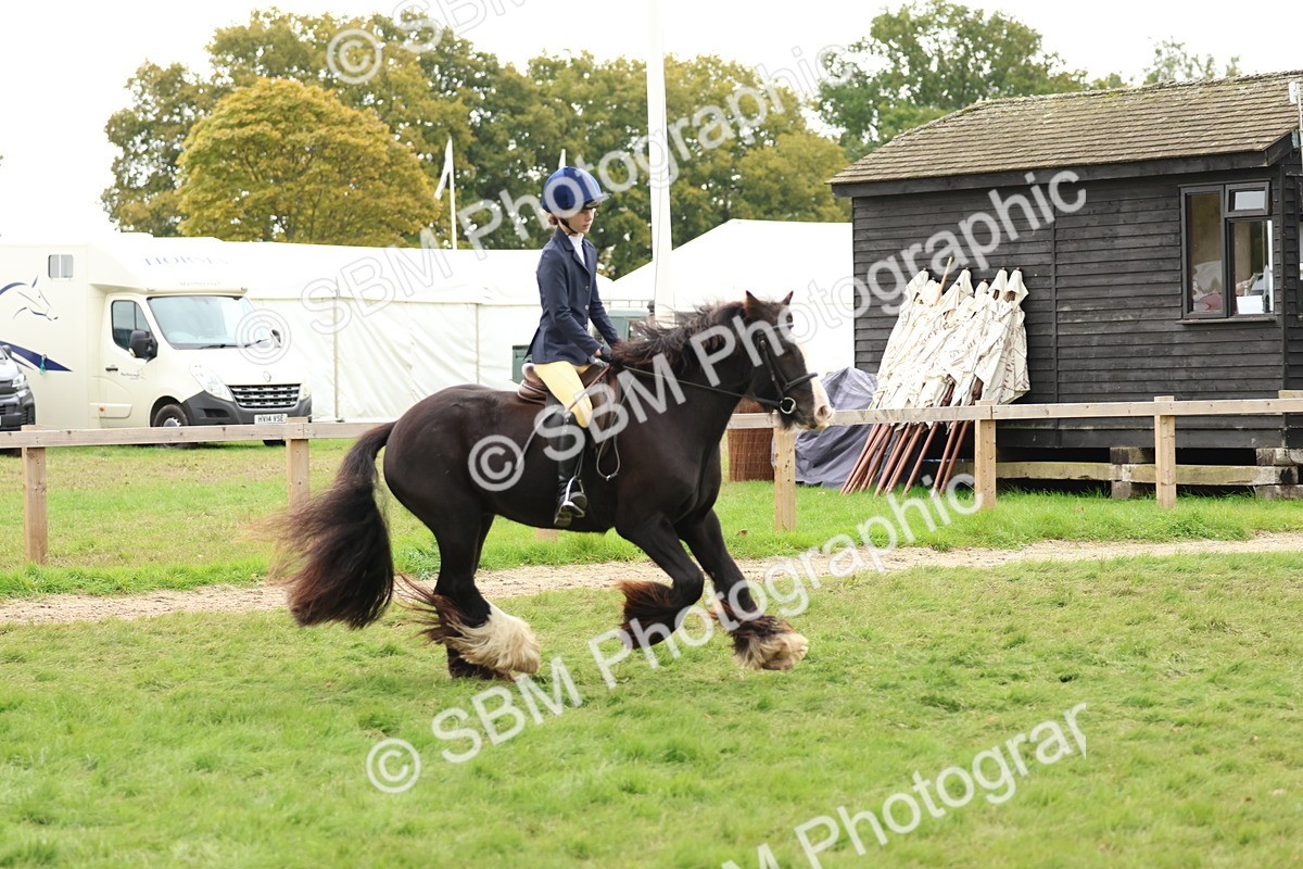 SBM_67530 - S60 - Mini Show Cob Ridden