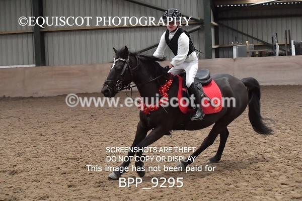 BPP_9295 - CLASS 5 60CM Progressive Show Jumping