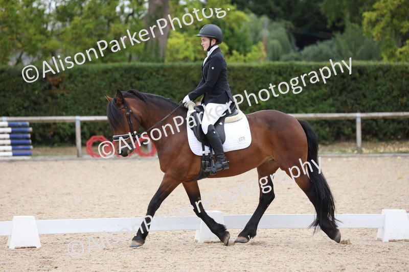 20250820-1078 - Class 17 - Elementary 4