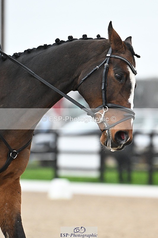 241103-130201-02161 - Prelim 2 - 12.05 to 13.15