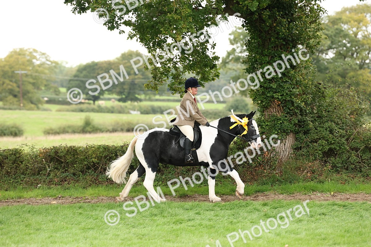 SBM_67336 - S67 - Piebald & Skewbald Horse Ridden