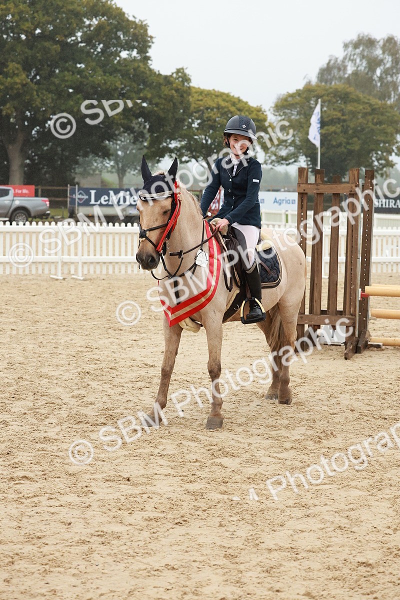 SBM_73495 - Supreme Championship Junior Pony 60cm & 65cm
