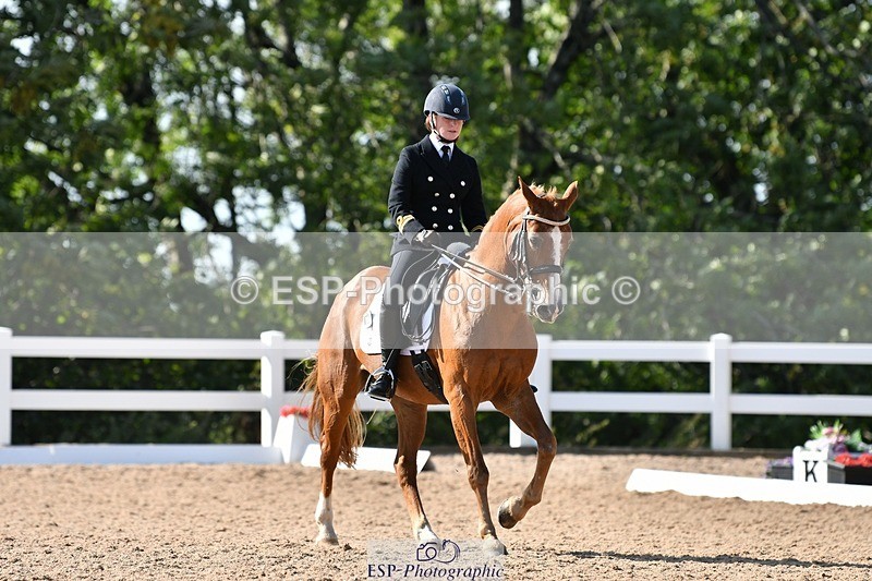 250906-155416-04482 - 122-India.JohnGrayswood.Orlando