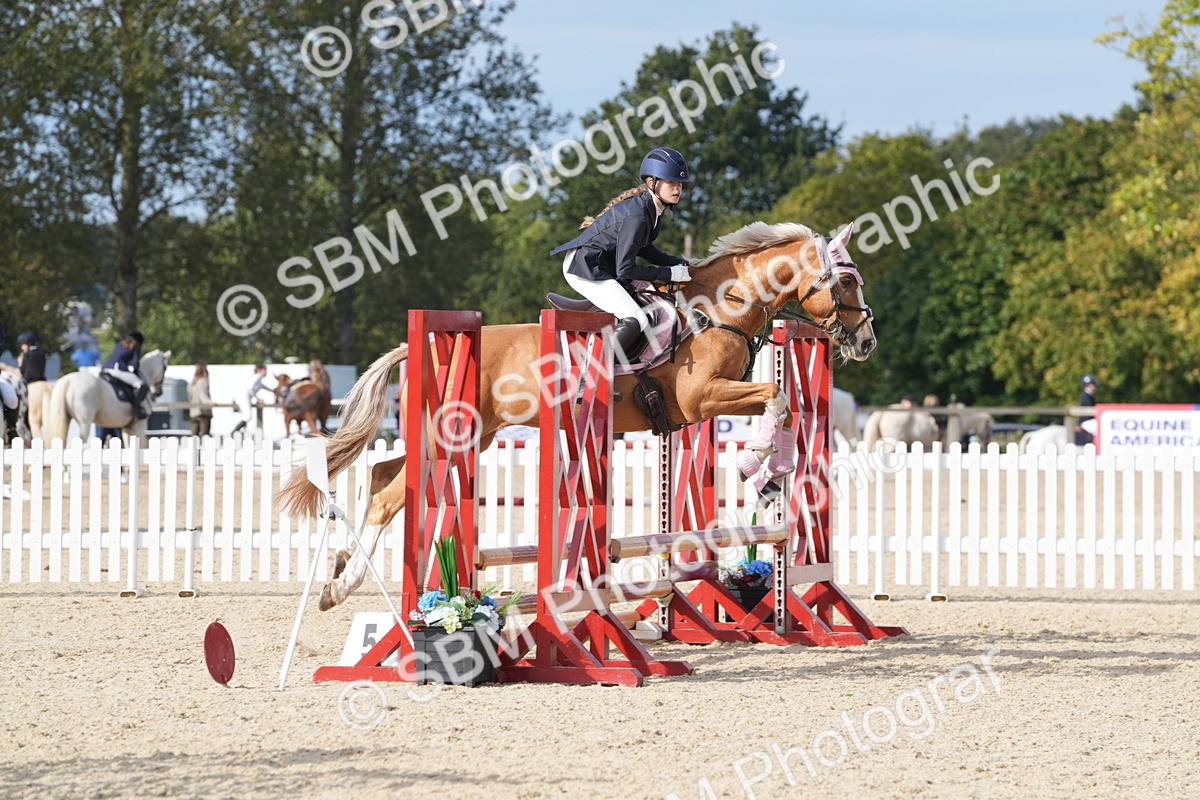 SBM_48842 - J22 - Junior Horse 65cm Championship