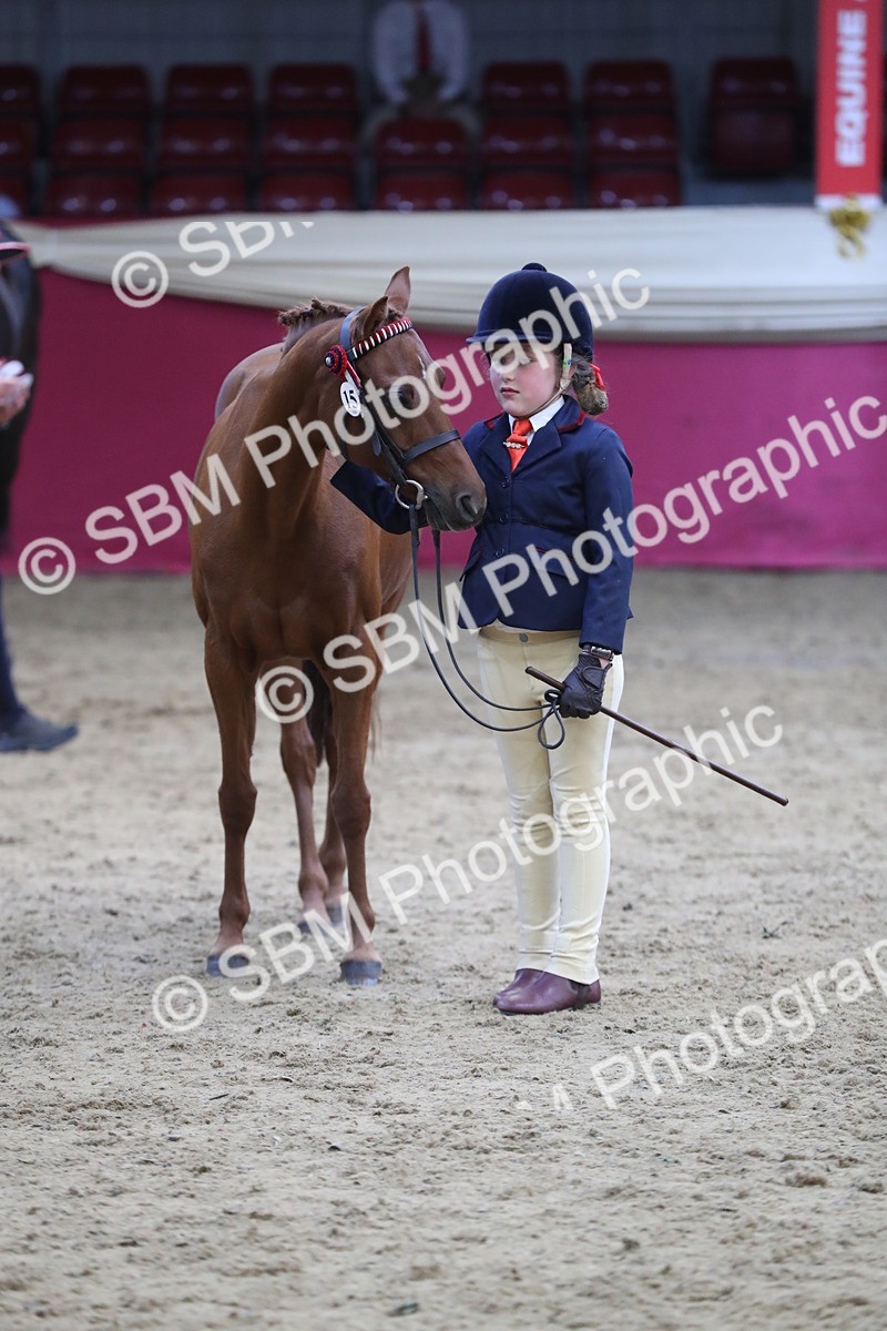 SBM_06453 - Class 9R Regional- IH Pre Vet
