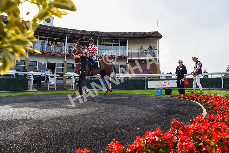 050724-Race 2-Ventura Express-2-2 - Race 2