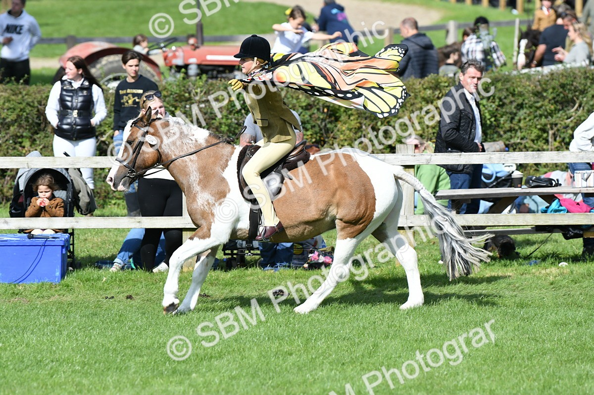 SBM_47110 - S12 - Family Horse & Pony