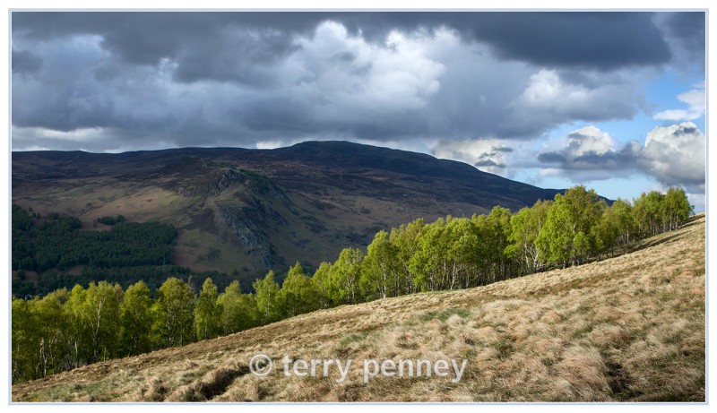  - Scotland