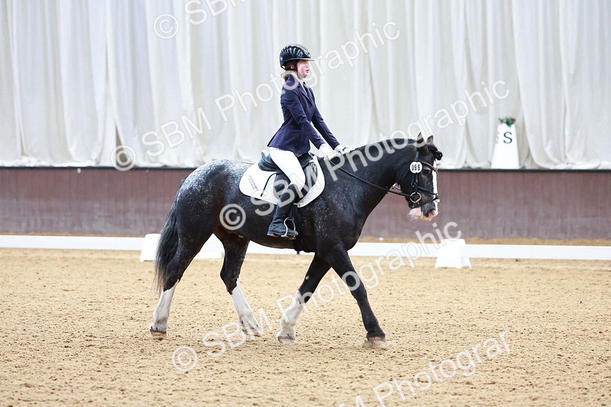 SBM_000230 - Class 3 -  CT Prelim 2/60cm