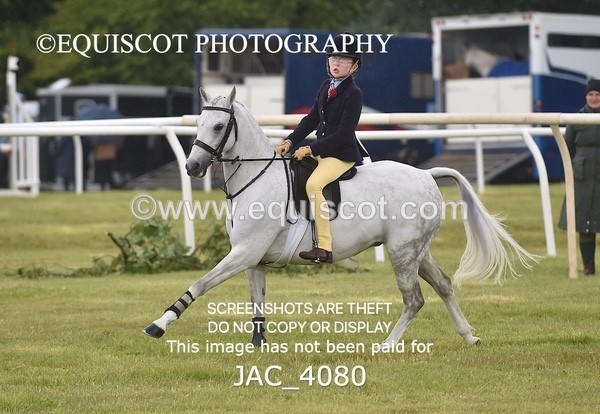 JAC_4080 - 40CM WORKING HUNTER