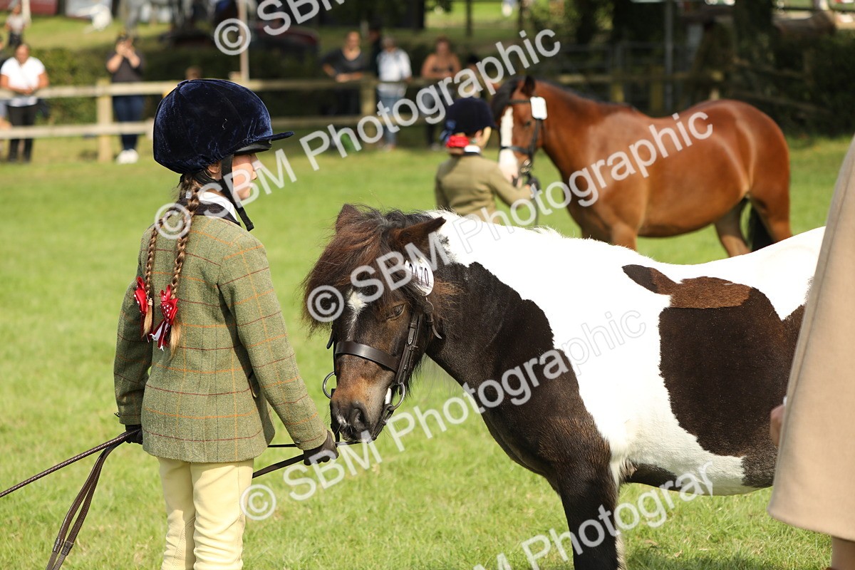 SBM_67749 - S39 - Junior Handler 8  Years & Under