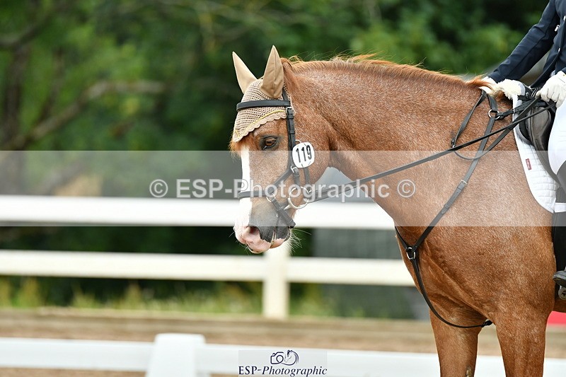 230701A-101759-04718 - Cls 4 Novice 23