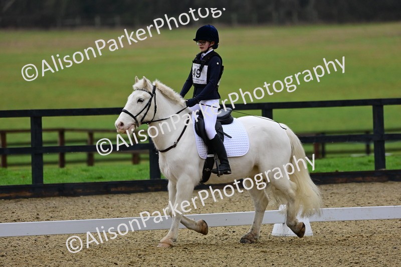 20260125-0586 - Class 9b - Walk Trot Unassisted