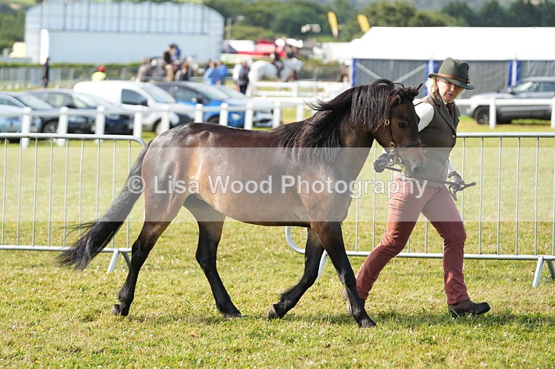 DSC04950 - Class 48: NPS M&M 2/3 year olds