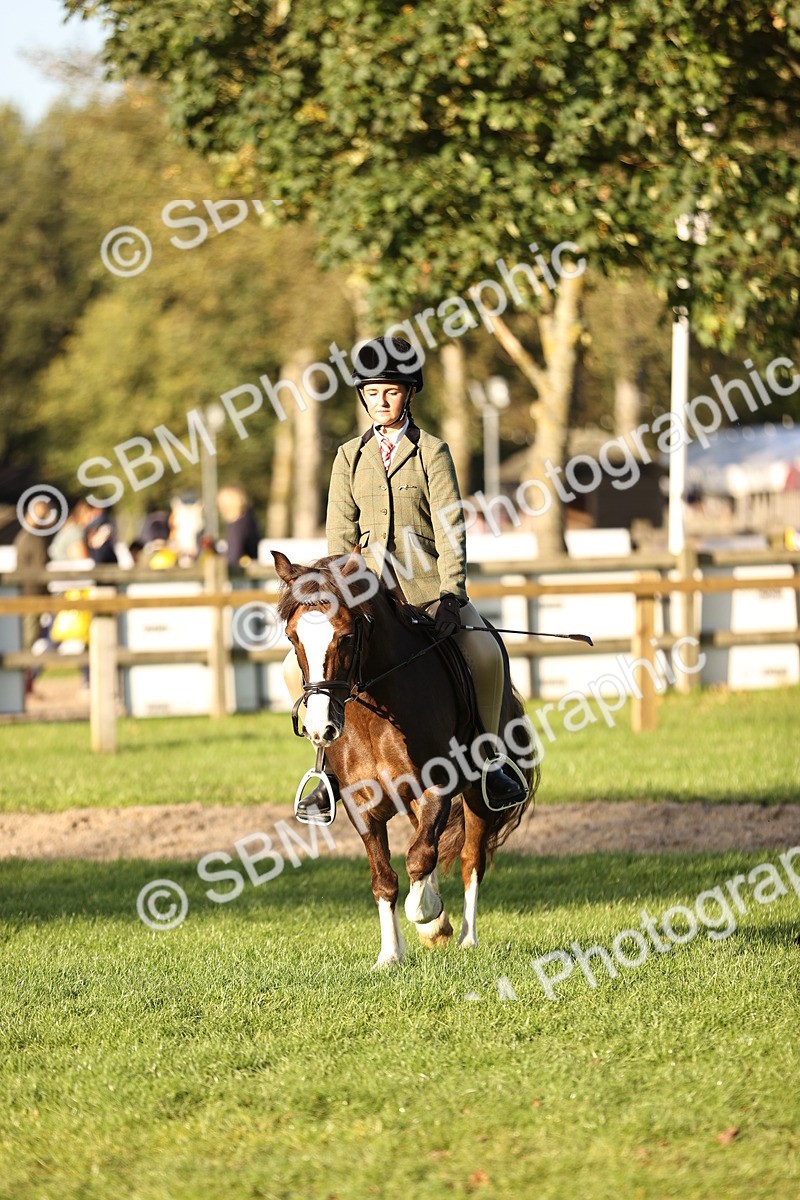 SBM_29599 - S7 - Novice & Newcomers Ridden Pony