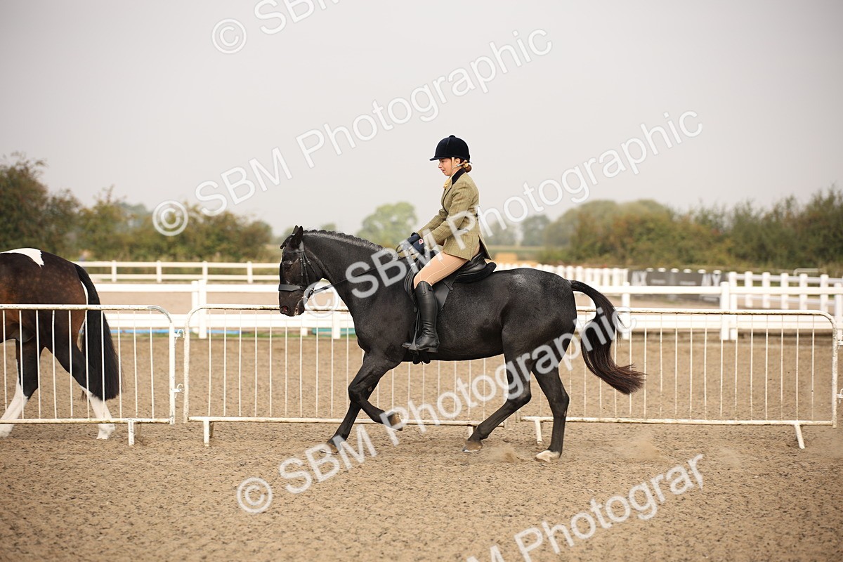 SBM_09772 - Class 401 Riding Club Pony